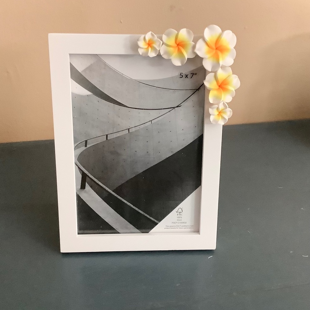 5x7 tropical plumeria flower frame